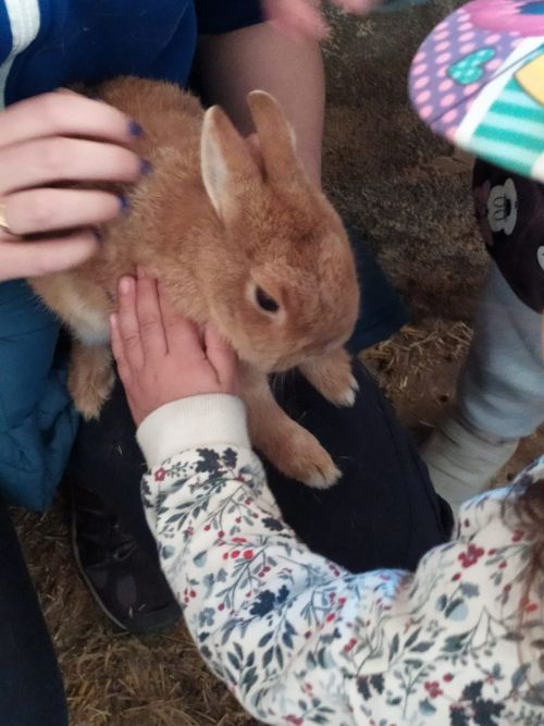 La casita visita granja del Ayer24