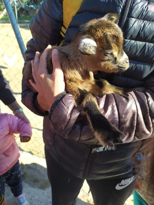 La casita visita granja del Ayer24