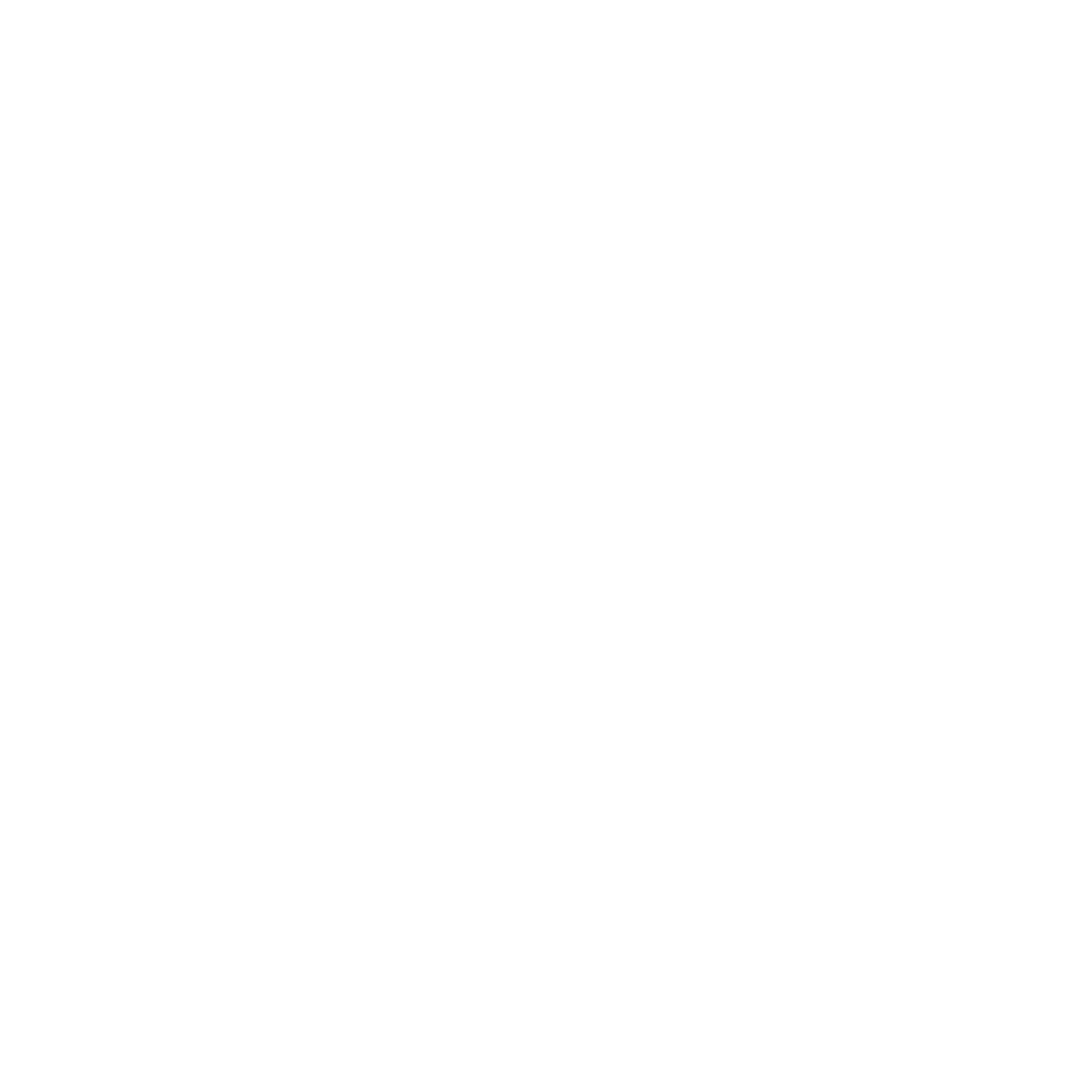 Logo-VDP-2022-(n)