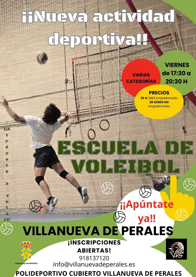 Cartel Voleibol 24/25