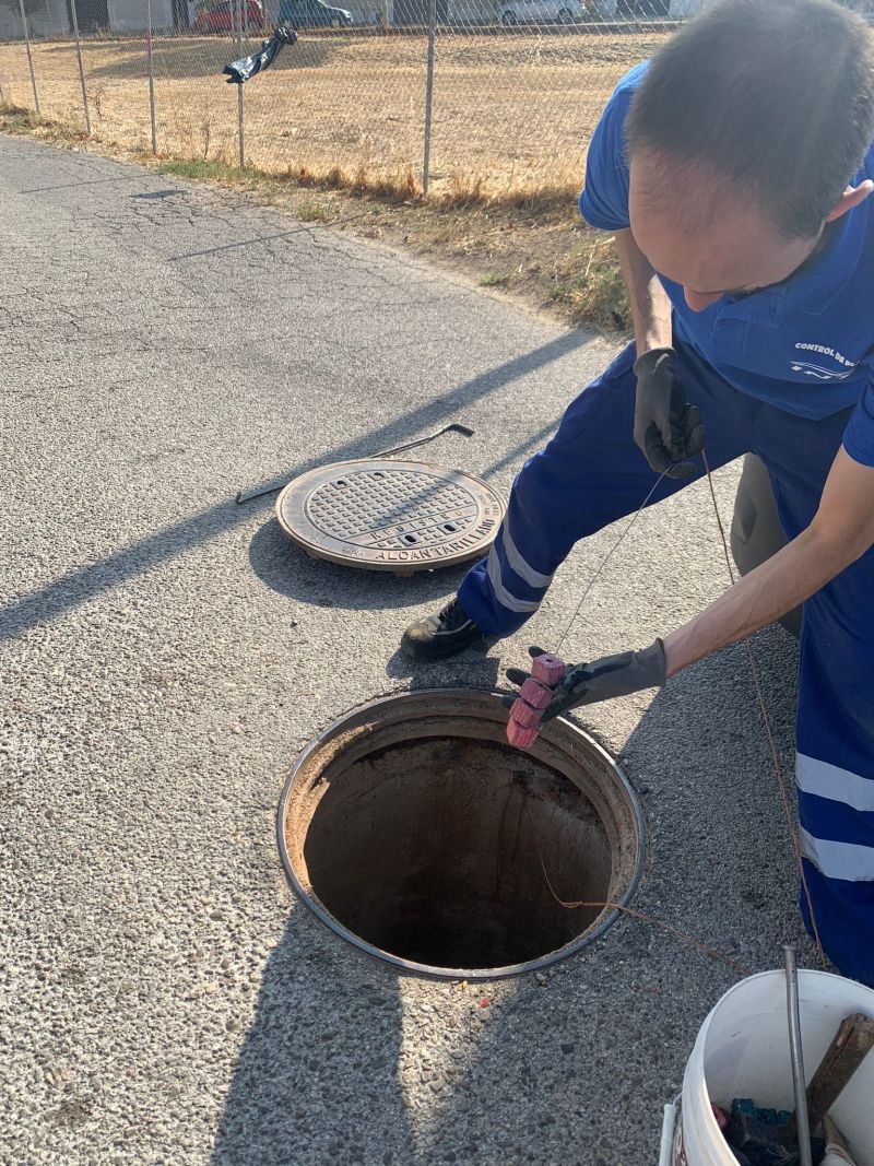 Programa de Control de desratización en Villanueva de Perales