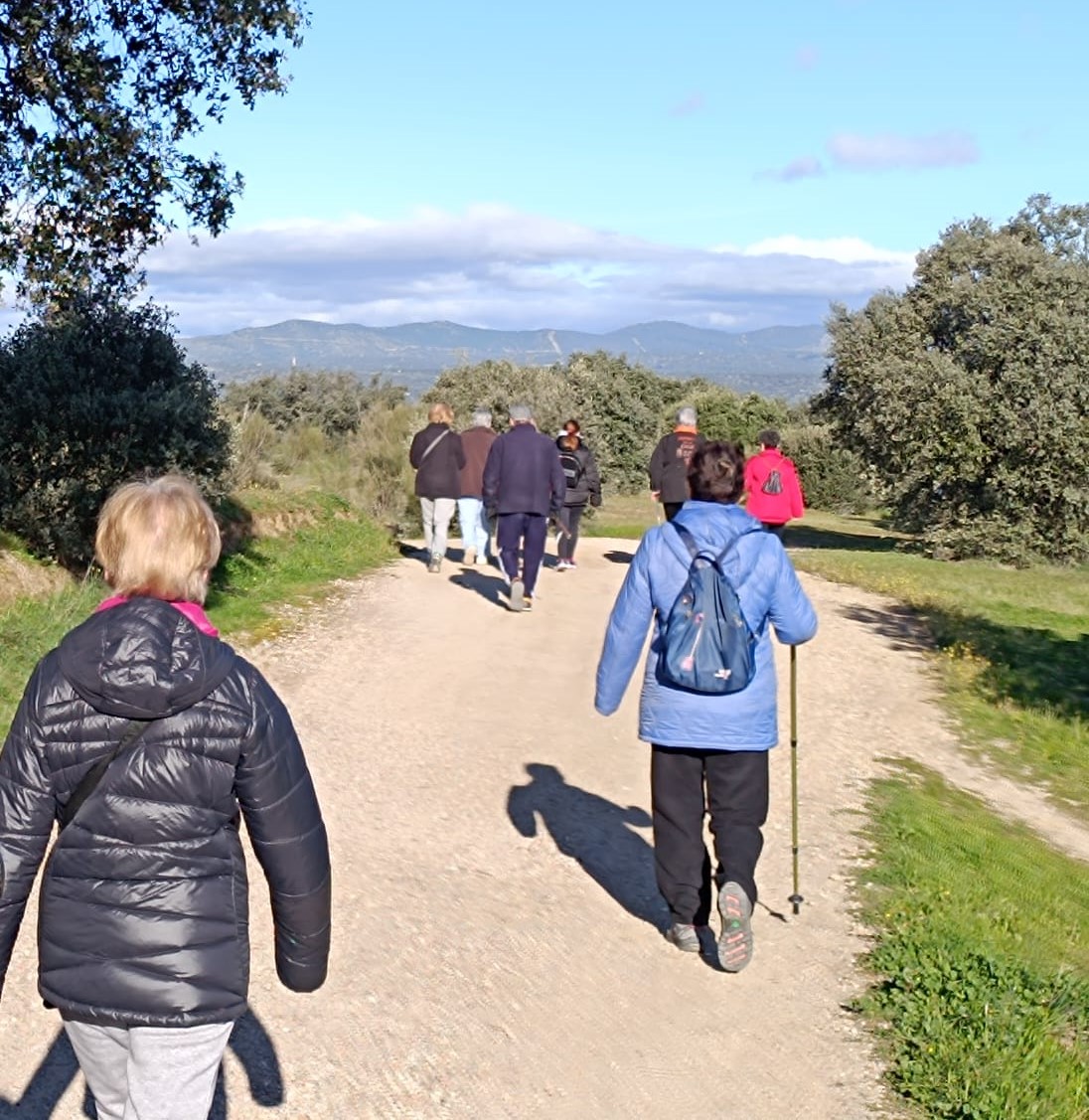 Día Internacional del Mayor