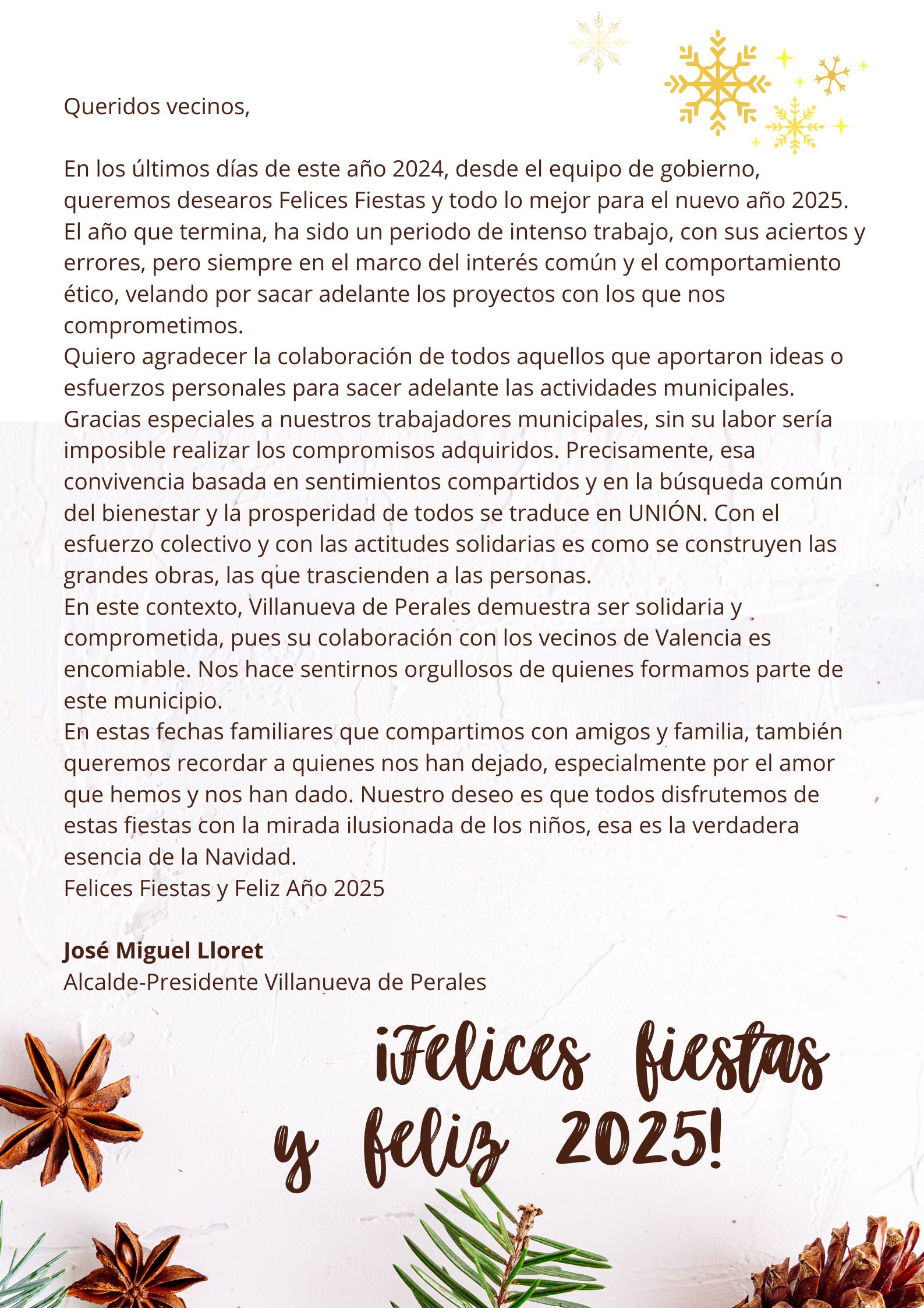 felicitación navidad equipo gobierno