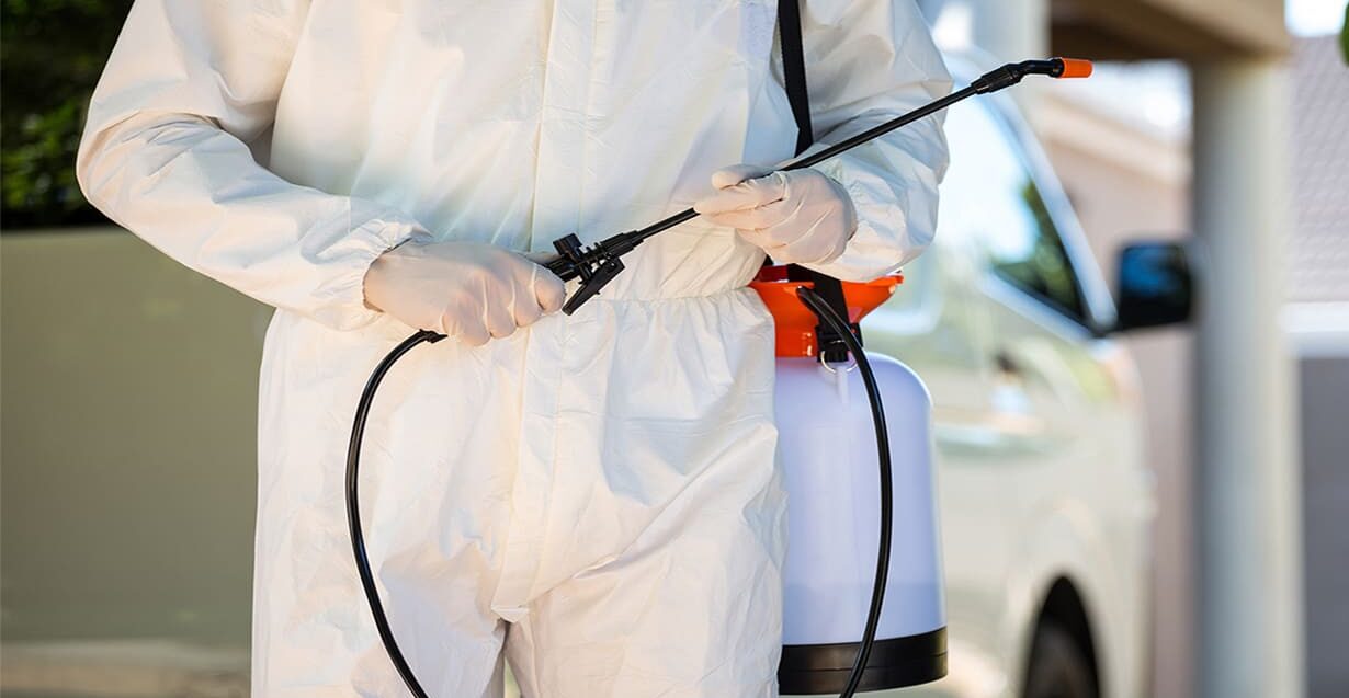 Empresa desratización