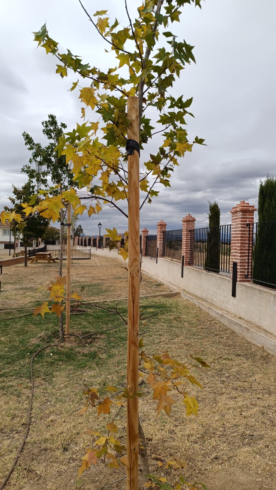 inauguración Parque Botánico 25 inauguración Parque Botánico 25