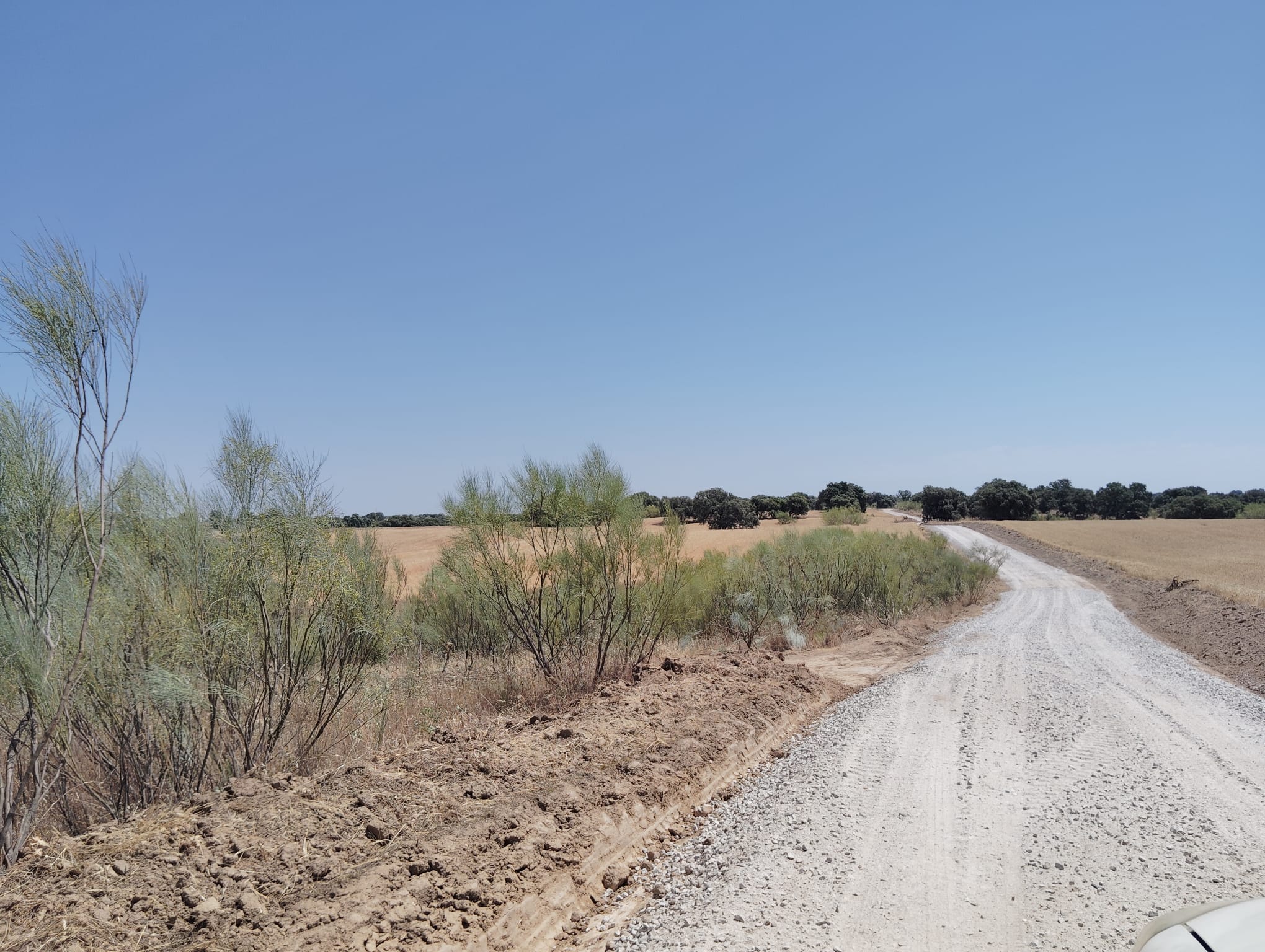 subvención PIR caminos